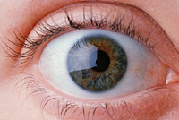 Офтальмология Охрана и коррекция зрения